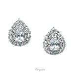 Bridal Jewellery, Chrysalini Wedding Earrings with Crystals - BAE0187 image
