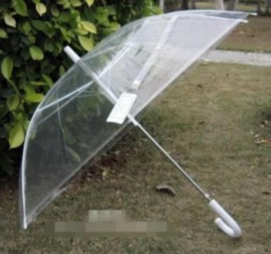 Wedding  Clear Wedding Umbrella Image 1
