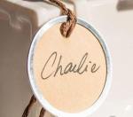 Vintage Round Metal Rim Tags with Jute Ties x 10 image